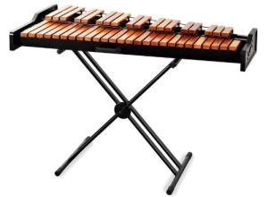 Bon xylophone destiné aux débutants