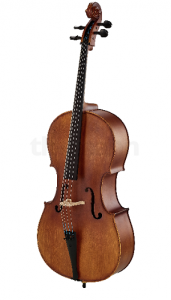 violoncelle Roth & Junius RJC15 