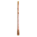 Didgeridoo